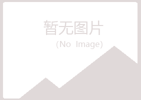 宁夏山柳培训有限公司